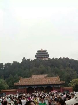 168888大叔主播照片