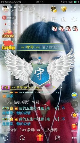 一只雁~主播照片
