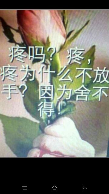魅力依歌的主播照片