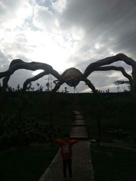 红姐的幸福生活主播照片