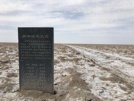 数斯12、26主播照片