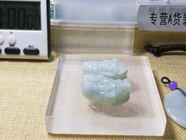 二月天涯主播照片