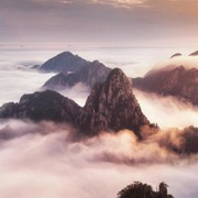 爱你的鹰6