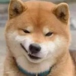 梅县小寒海报