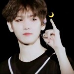 🌙爱丽🌙