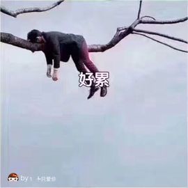 慕💕雪主播照片