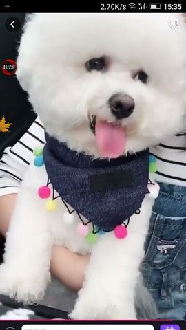 ✨媳婦⭐求🌙帶走✨主播照片