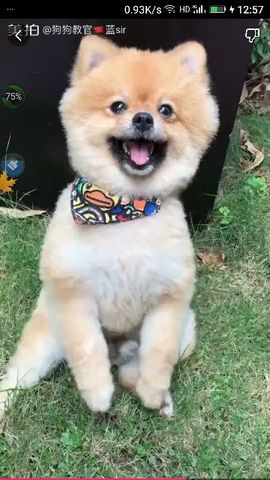 ✨媳婦⭐求🌙帶走✨主播照片