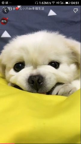 ✨媳婦⭐求🌙帶走✨主播照片