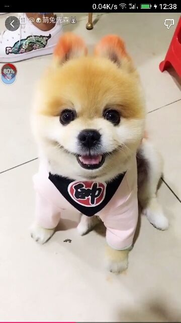 ✨媳婦⭐求🌙帶走✨主播照片