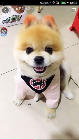 ✨媳婦⭐求🌙帶走✨主播照片