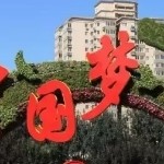 又一个猪