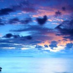 肥佬叔海报