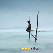 我旧旧
