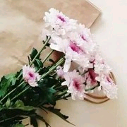 陌上花开v1l主播照片