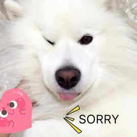 ⊱西木❤周四播⊰主播照片
