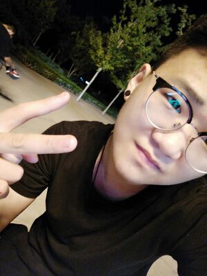 一只傻龙龙，求升级的主播照片