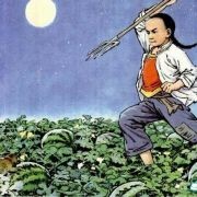 毛泽宇春