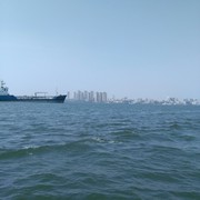 勇闯天涯366
