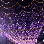 没芯没肺没良心海报