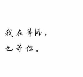 海鸽晚上播主播照片