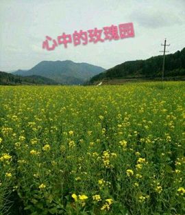 你是幸运的宝主播照片
