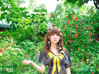 蝶变女神@快乐不倒翁的主播照片