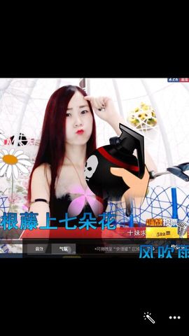 十妹小凤凰今晚休息主播照片