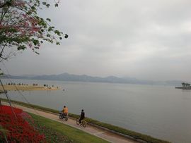 清馨单身az主播照片