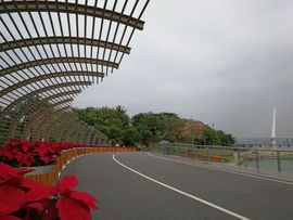 清馨单身az主播照片