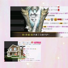 海鸽晚上播主播照片