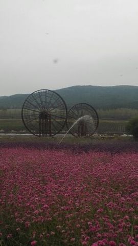 挺住意味一切主播照片