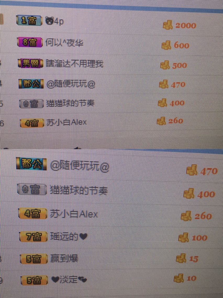 猫猫球的节奏的主播照片