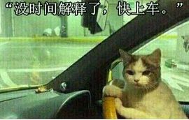 趁年轻，使劲嗨主播照片
