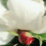 弧度制11