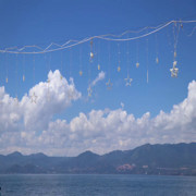 撒野、海报