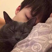 💋二爷i的头像