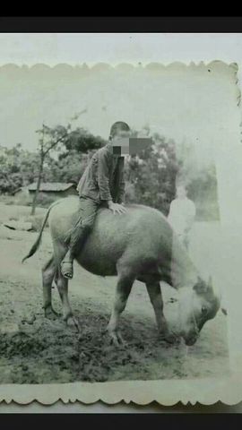 168888大叔主播照片