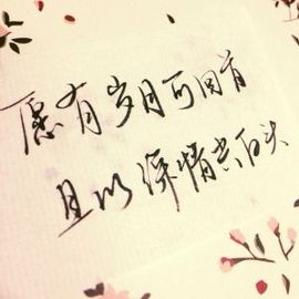 海鸽晚上播主播照片