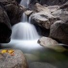 元素雨海报