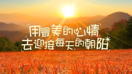 燕馨梦主播照片