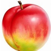 🍎小苹果🍏