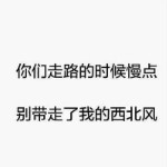 一生热爱回头难。海报