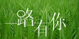 燕馨梦主播照片