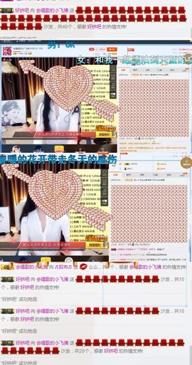 是你的小飞猪主播照片