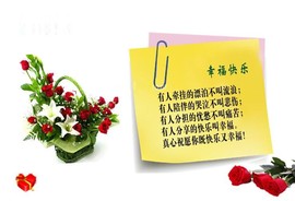 ◆◇の沫沫守候﹎主播照片