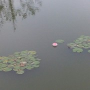 世俗红尘v