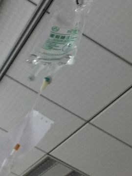 狐狸讨米去了主播照片