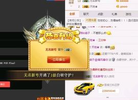 海鸽晚上见主播照片