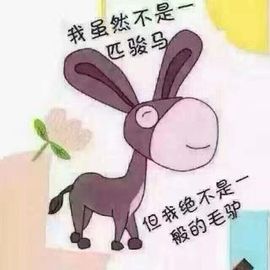 涛宝说句再见主播照片